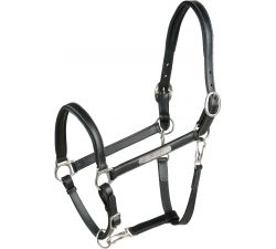 Cabestro de cuero ERIC THOMAS - Pro