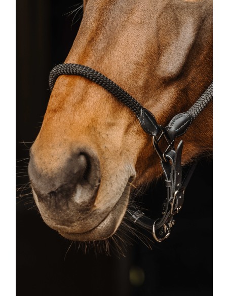 Licol cuir/corde NORTON