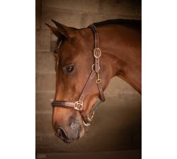  Cabestro de cuero con 3 mosquetones - PADDOCK