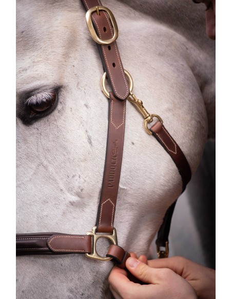  Licol cuir 3 mousquetons - PADDOCK