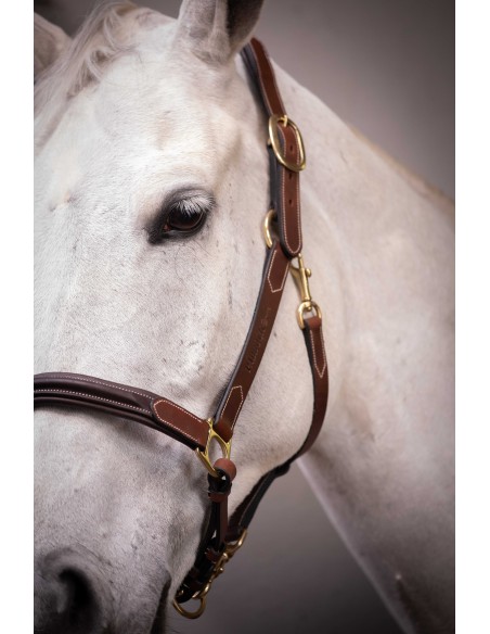  Licol cuir 3 mousquetons - PADDOCK
