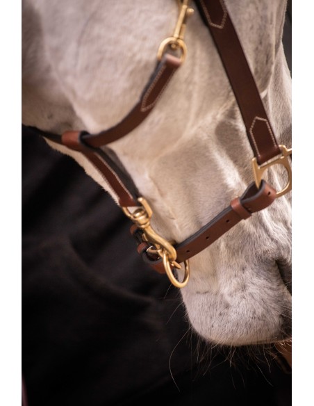  Cabestro de cuero con 3 mosquetones - PADDOCK