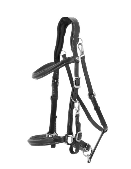 Bridon licol NORTON PRO - Trekking
