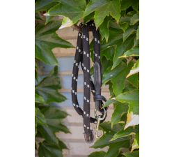 Longe PENELOPE Corde et cuir 1.5m