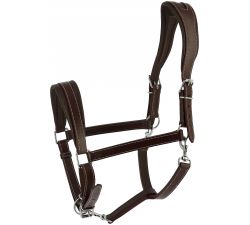 Licol cheval de trait NORTON - Ardennais