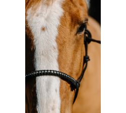 Ethologisches Nylon-Halfter NORTON - Diams