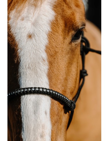 Ethologisches Nylon-Halfter NORTON - Diams