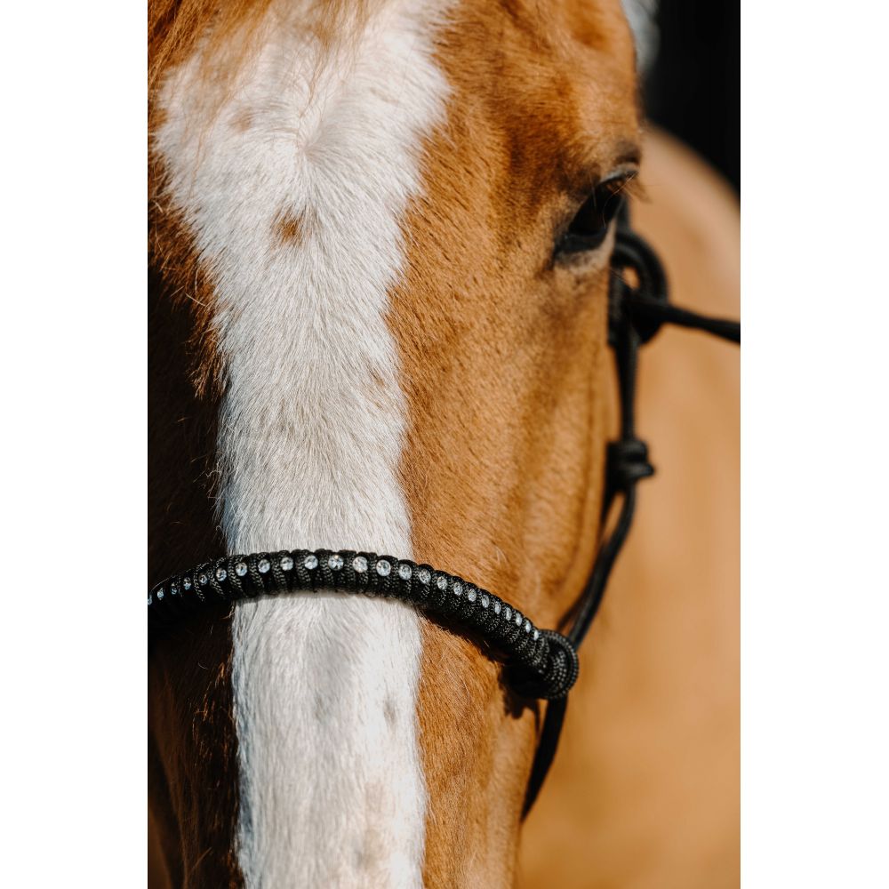 Ethologisches Nylon-Halfter NORTON - Diams