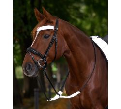 Ensemble pour brides REFLEX Waldhausen