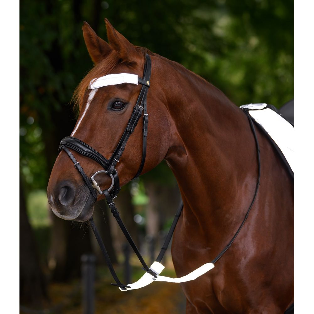 Set für REFLEX-Flansche Waldhausen