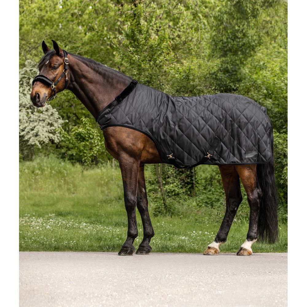 Reitdecke EXCLUSIVE, 50 g Waldhausen