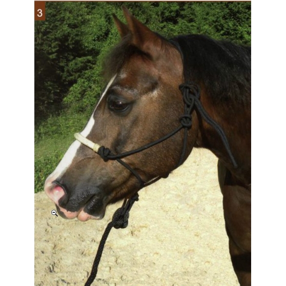 licol-ethologique-muserolle-renforce-en-cuir-rawhide-longe-assortie