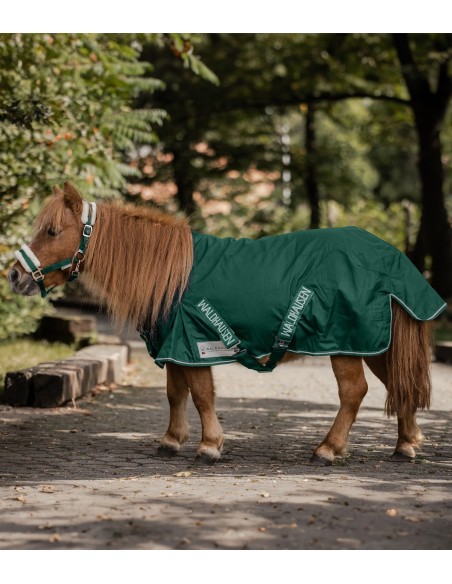 Camisa Shetty Light Rain Waldhausen
