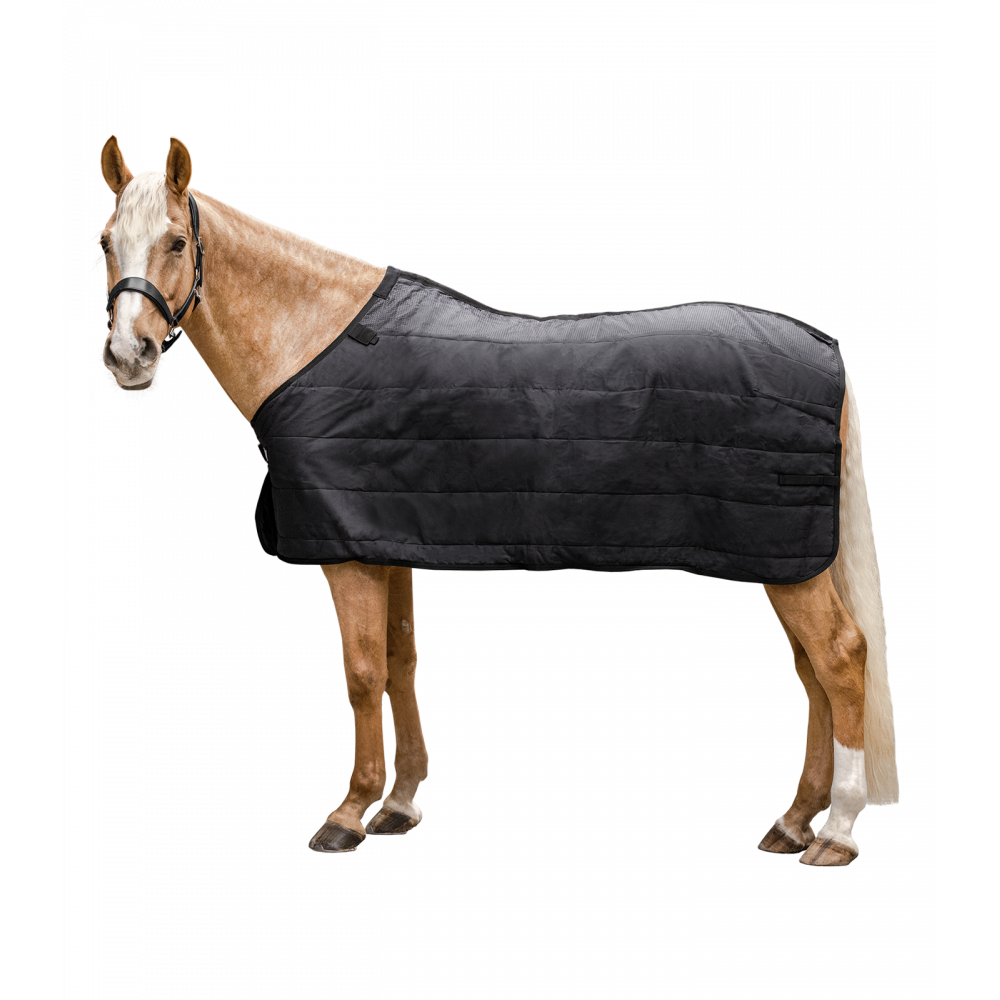 Base térmica, 100 g Waldhausen