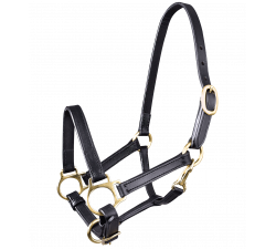 Licol poulain en cuir STAR