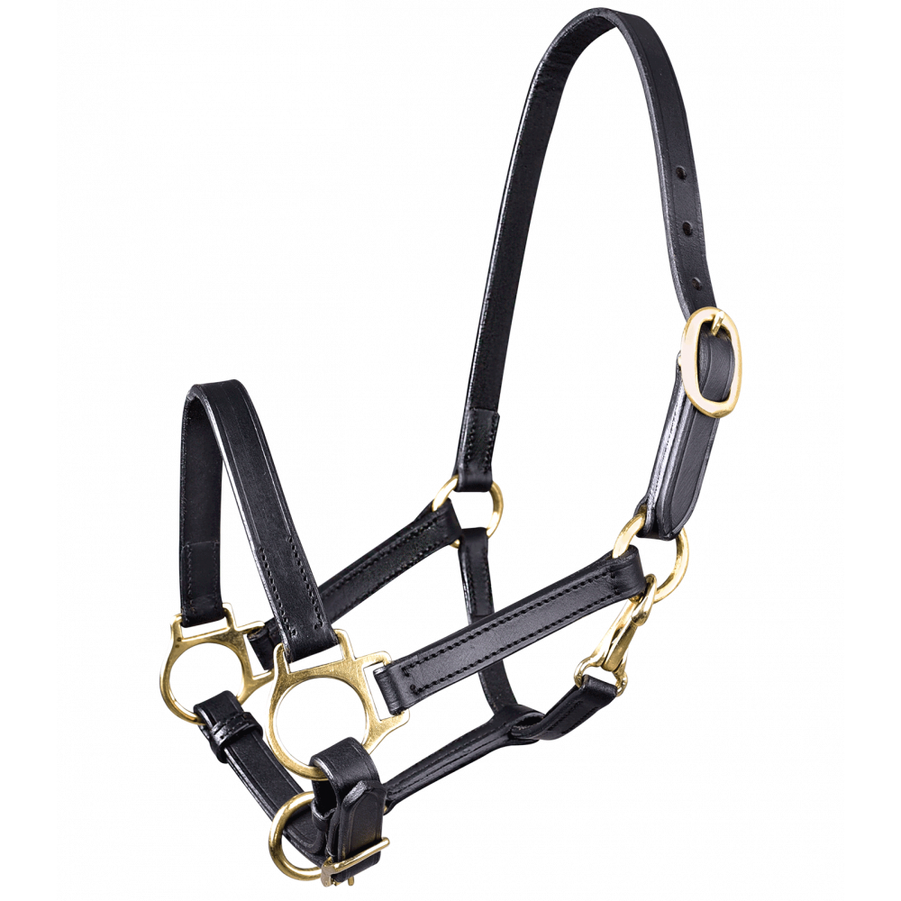 Licol poulain en cuir STAR