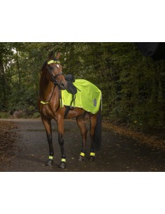 Protector lumbar fluorescente y reflectante NORTON: seguridad y estilo para ti 2