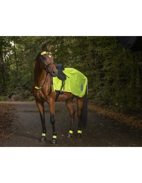 Fluoreszierende, reflektierende NORTON-Nasenüberzüge