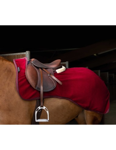 EQUITHÈME Fleece-Nierenwärmer -Teddy-