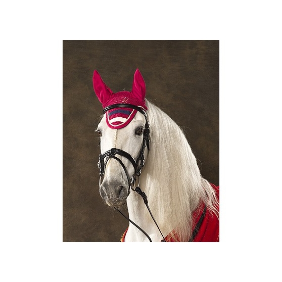 bonnet-equi-theme-stripe-anti-mouches