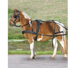 Arnés sintético simple, pony y shetty STAR