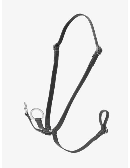 Martingal mit Ringen Hobby Horse Lemieux