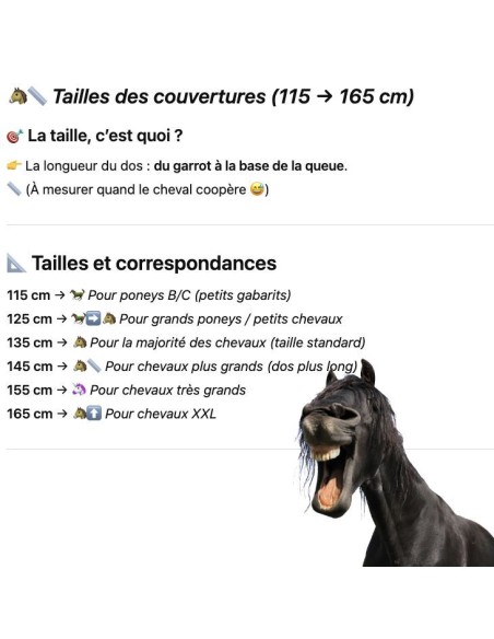 Chemise de pluie Equithème 420D
