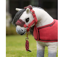 Licol et longe Vogue Top Pony LeMieux