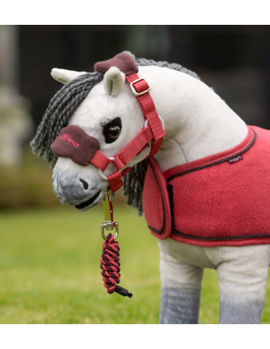 Licol et longe Vogue Top Pony LeMieux