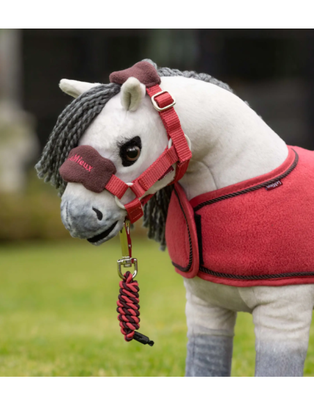 Vogue Top Pony Halfter und Führstrick LeMieux