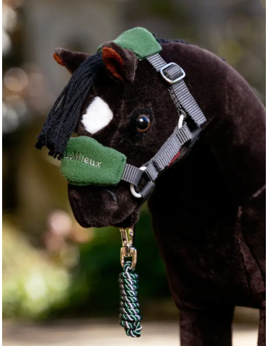 Cabestro y rienda Vogue Top Pony LeMieux