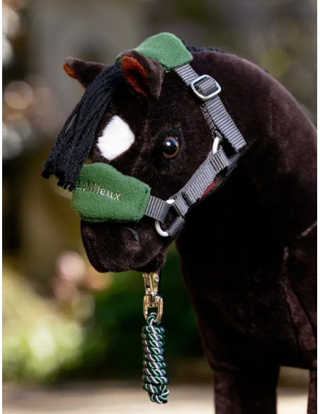 Licol et longe Vogue Top Pony LeMieux