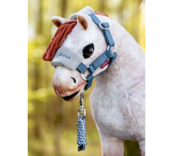 Licol et longe Vogue Top Pony LeMieux