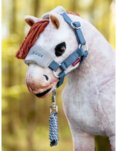 Vogue Top Pony Halfter und Führstrick LeMieux 2