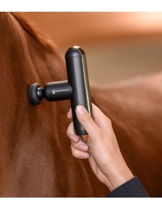 Waldhausen Health + Care Massagegerät PocketRelax