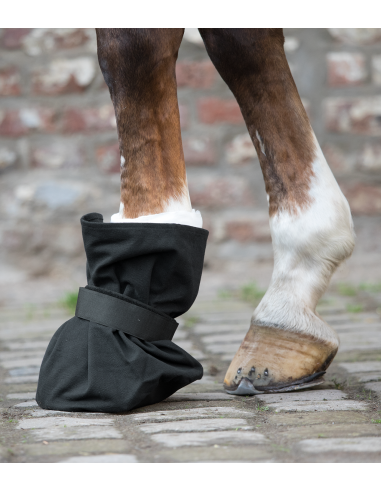 Protection de pansement pour sabot Waldhausen