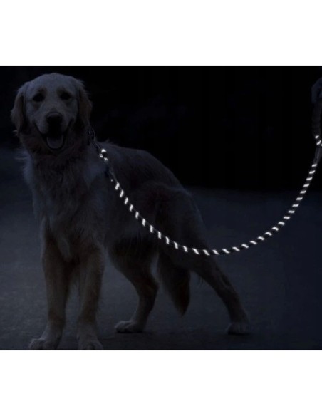 Reflektierende Purlov-Trainingsleine