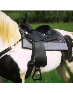 selle-western-wintec 2