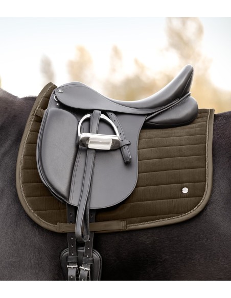 Tapis mixte et dressage St. Gallen Waldhausen