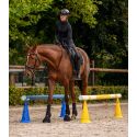 Fiches d"obstacles pour pylônes Waldhausen par 4