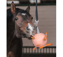 Karottenball Waldhausen
