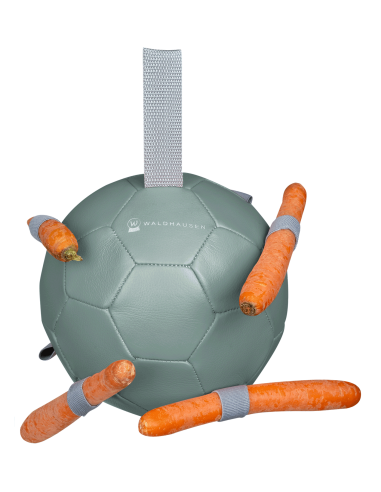 Karottenball Waldhausen