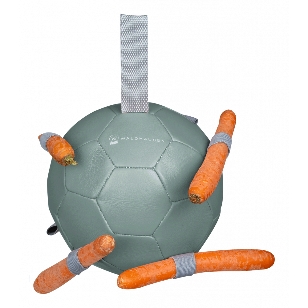 Karottenball Waldhausen