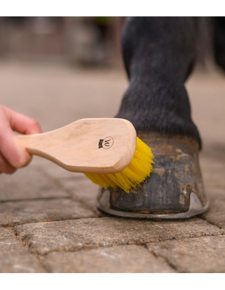 Cepillo para cascos Waldhausen