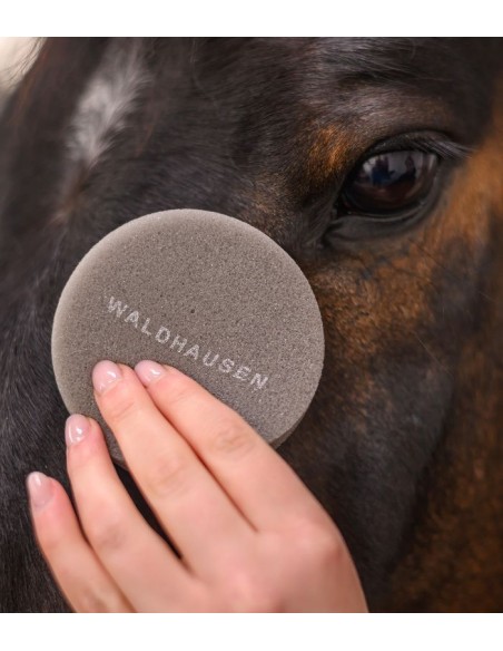 Runder Pflegeschwamm soft Waldhausen