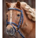 Bridon Mini-Shet-Poney, Lucky Waldhausen