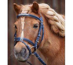 Bridon Mini-Shet-Poney, Lucky Waldhausen