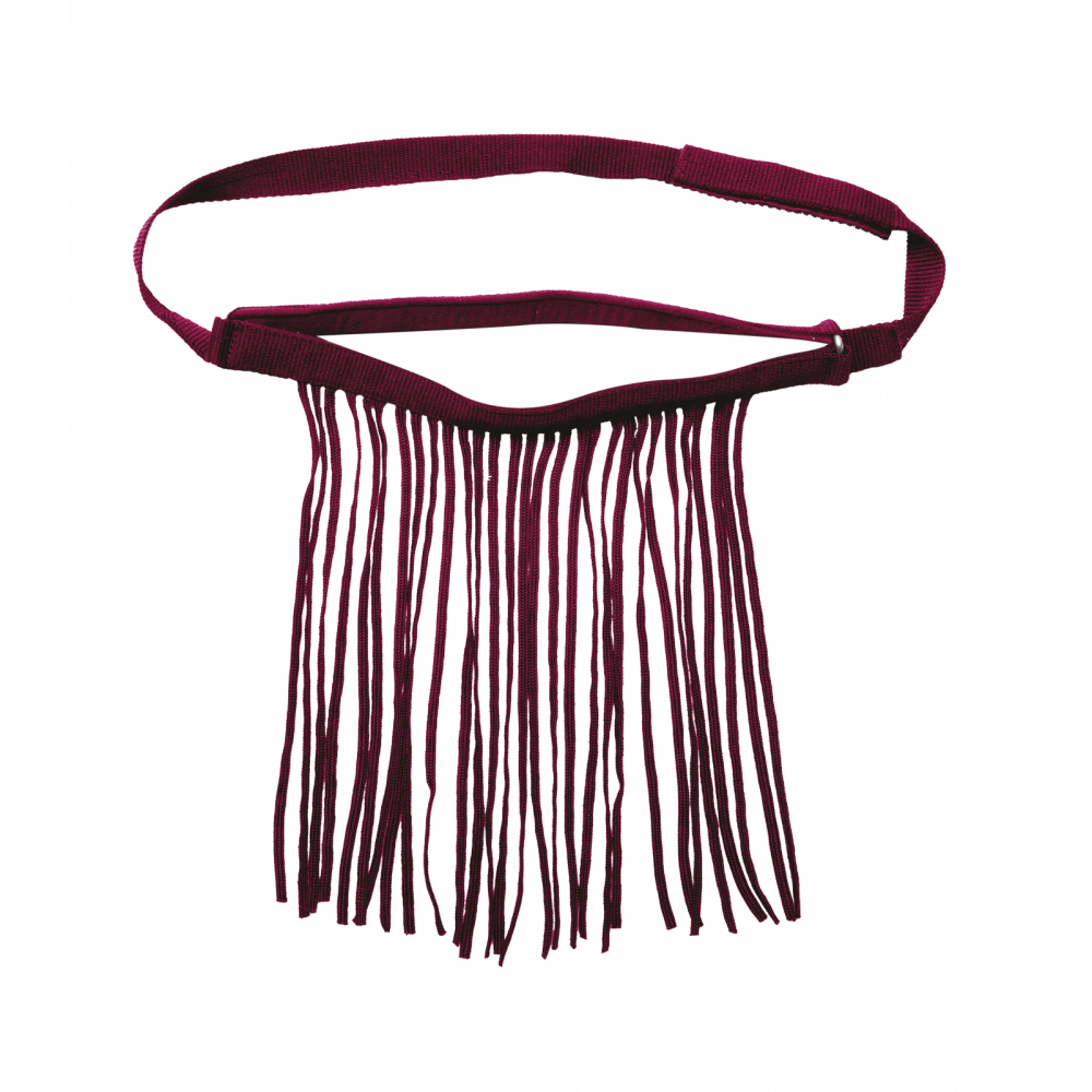 Frontal chasse-mouche autonome du shetland au trait Waldhausen