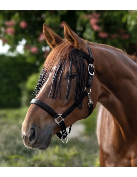 Frontal chasse-mouche Salon Waldhausen