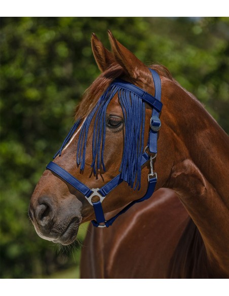 Frontal chasse-mouche Salon Waldhausen